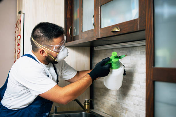 Best Exterminator Services  in Hooverson Heights, WV