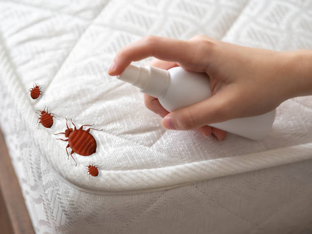  Hooverson Heights, WV Pest Control Pros