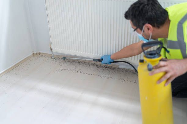 Best Termite Control Services  in Hooverson Heights, WV